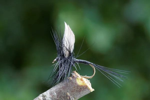 Dry fly fishing fly, black body, white wings and leafs in backgr
