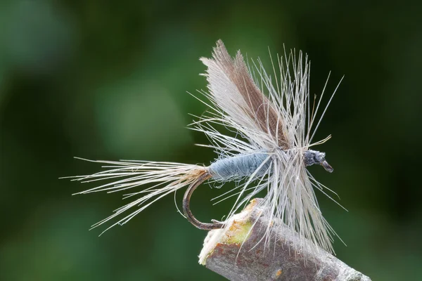 Gray and white dry fly fishing lure, green leafs in the backgrou