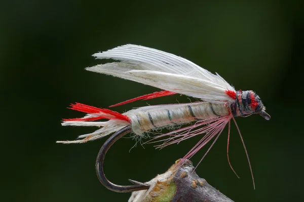 White and red wet fly fishing fly,  leafs in background out of f