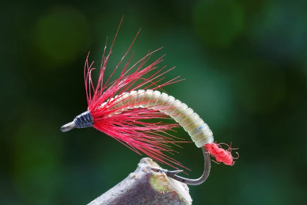 Fly fishing lure, fish imitation, gold body and red hackle and l