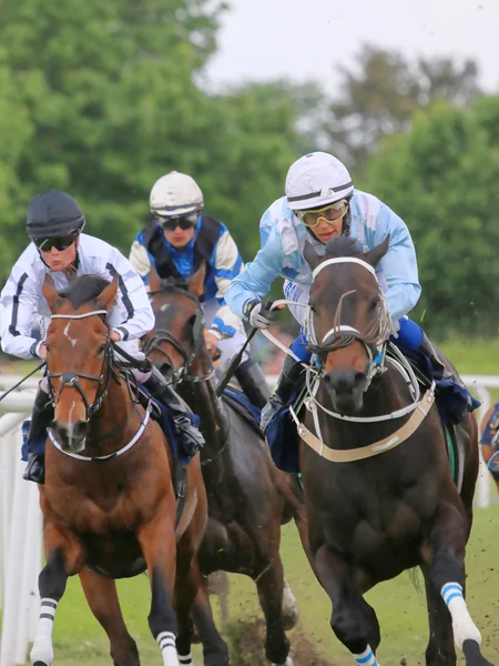 Three jockeys on race horses