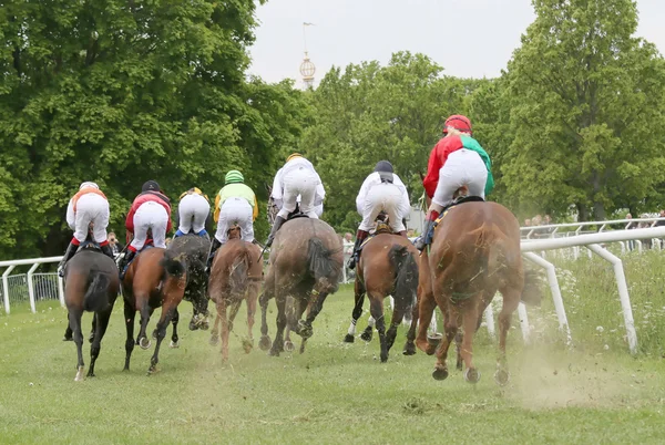 Rear view of the race horses in a curve