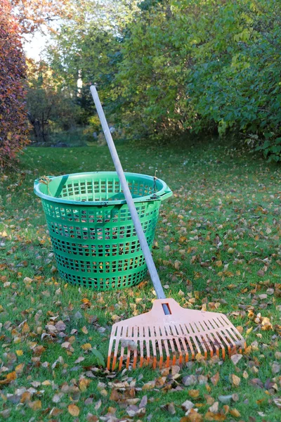 Rake, leafs and green basket