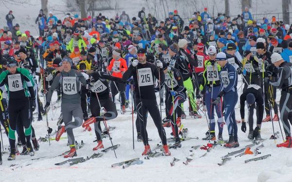 Large group colorful cross country skiers preparing before start