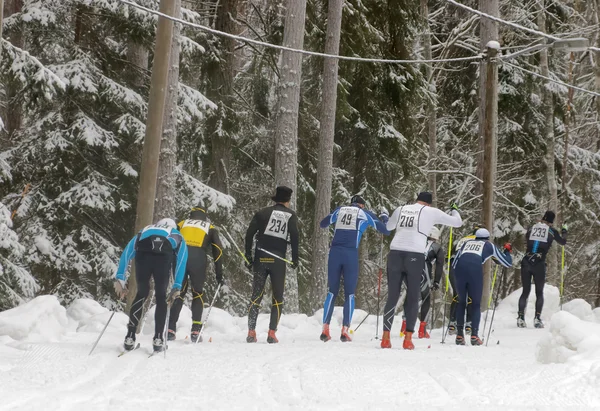 Rear view of a group of cross country skiing men in the beautifu
