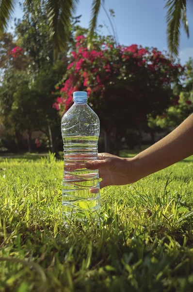 Water bottle on grass