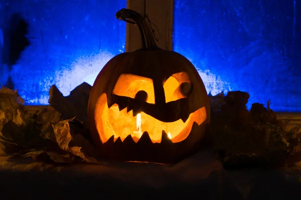 Photo for a holiday Halloween, the embittered pumpkin