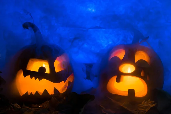 Two pumpkin photo for a holiday Halloween.