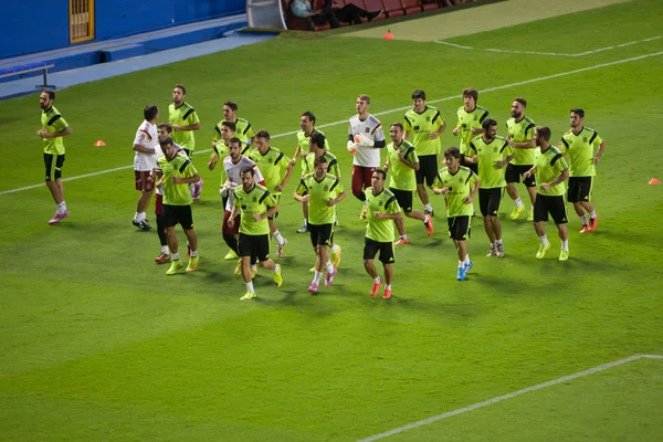 Training Session of National Football Team of Spain