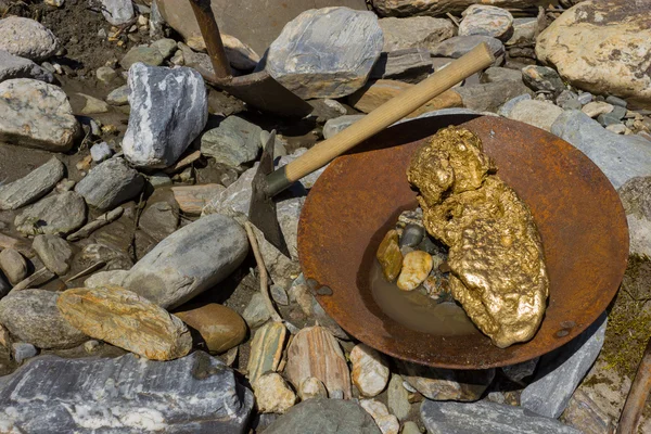 Gold Nugget mining from the River