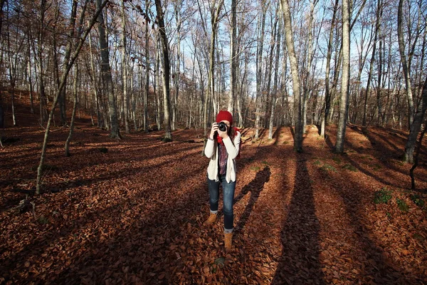 Young beautiful woman taking pictures to beech leaves in one of the most amazing beech forest in Europe, \