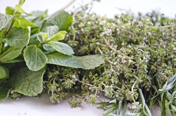 Fresh herbs isolated on white background