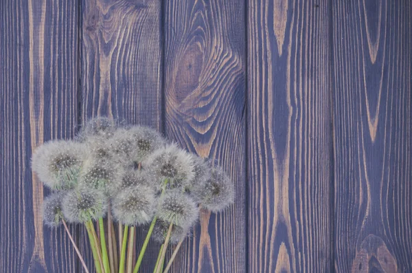 Design a rustic style. Dandelions and aged wood