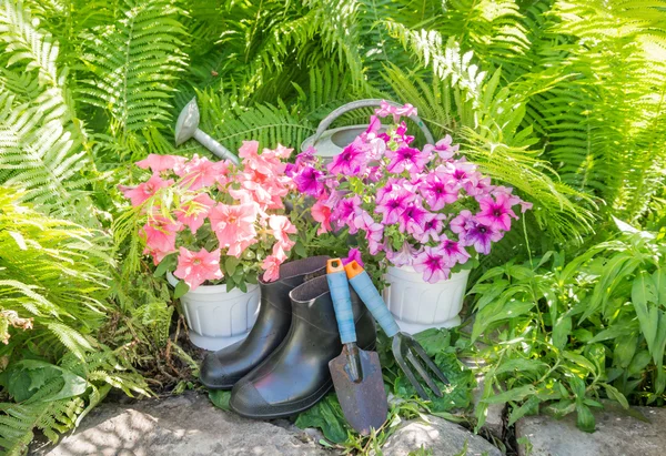 Garden tools and flowers. The gardener set