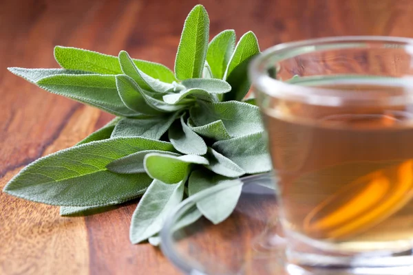 Sage tea with silver spoon inside transparent teacup, fresh sage leaf in background, served on wooden floor,