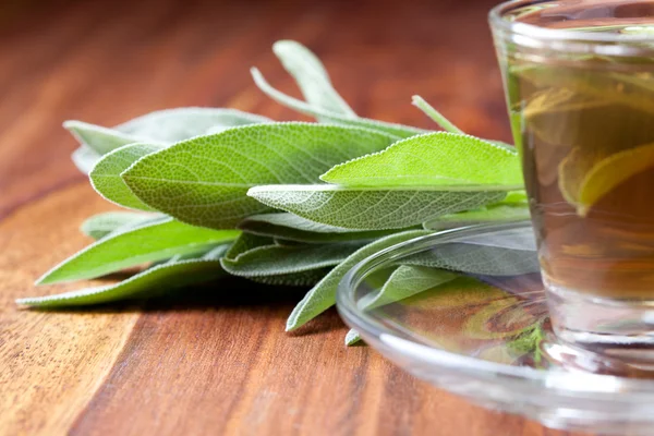 Sage tea in transparent teacup with fresh sage on wooden floor,