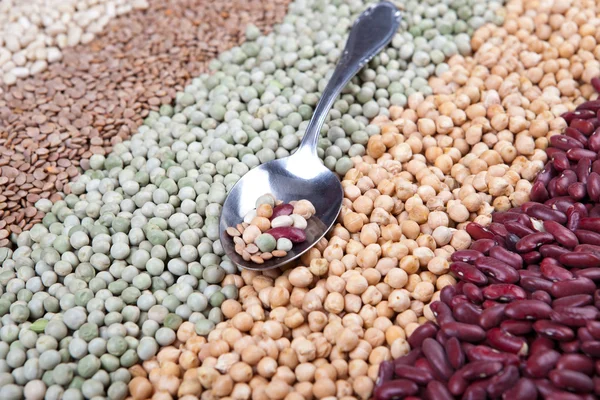 Raw legumes with silver spoon, beans, lentil, peas