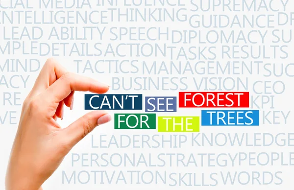 Can\'t see forest for the trees concept