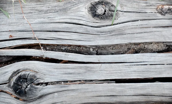 Gray wood with cracks