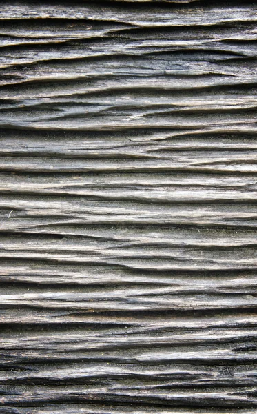 Old wood cracked texture background.