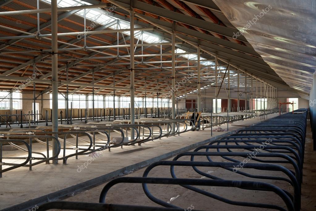 Facilities for keeping cows in the modern cattlebreeding complex