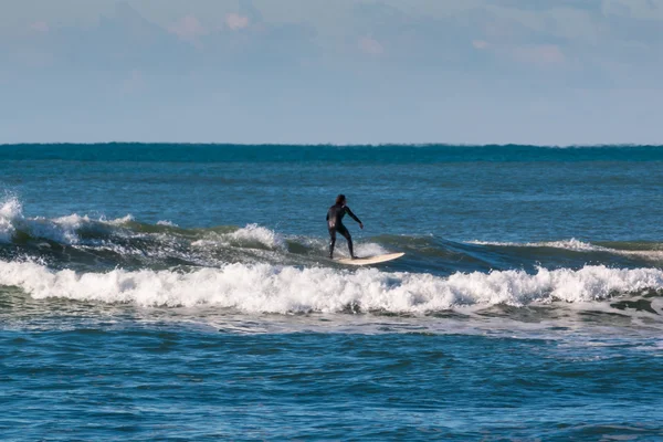 Surfer black wetsuit riding the wave