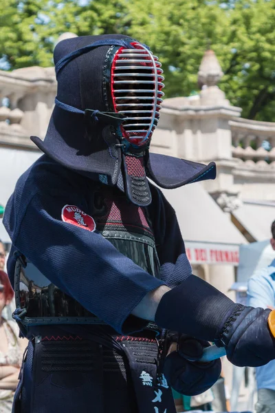 Kendo Fighter in Traditional Clothes with Bamboo Sword