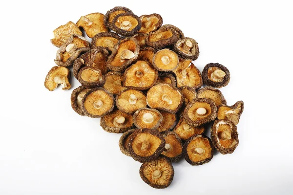 Dried mushrooms on white background