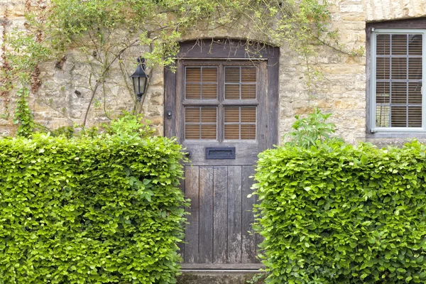 Old brown wooden door in traditional honey comb stone cottage with green beech hedge in front, in rural Cotswold village