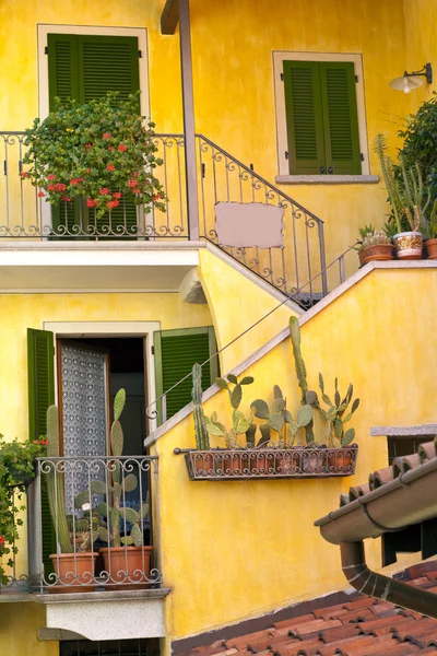 Front of an old house with cactus plants in terracotta pots, balconies, green window shutters, staircase