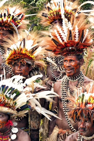 Tufi Papua New Guinea 4 December 2008 : Papuan Korafe tribe warriors wearing traditional bird of paradise feather headdress and body decorations during local festival