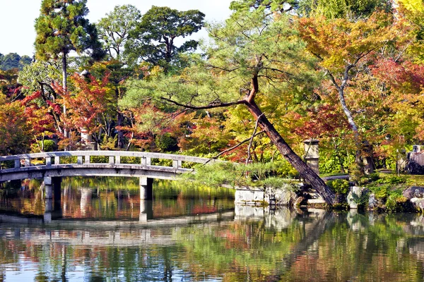 Cool Autumn day scenery with vibrant colorful leaves on the trees, plants around stone bridge over a lake with reflections in the water