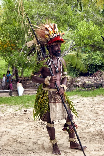 New Guinea Papuan Korafe tribe warrior wearing traditional colorful bird of paradise feather headdress and shell necklaces, holding spear, during local festival