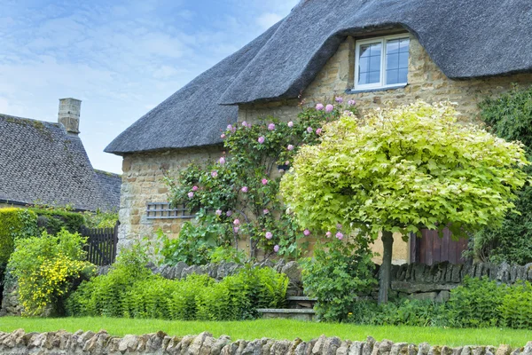 Thatched roof traditional yellow stone Cotswold cottage