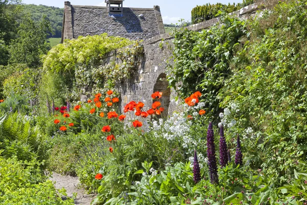 Summer cottage garden with red poopy, purple lupine and other flowers in bloom, with a walking path against stone wall covered with climbing lush plants
