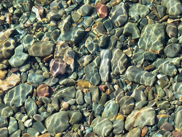 Many underwater stones different forms and color.