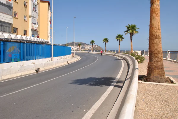 Road with palm trees next to the mediterranean sea