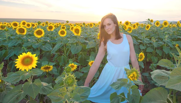 Woman in sunflower field - rural life and aromatherapy concept