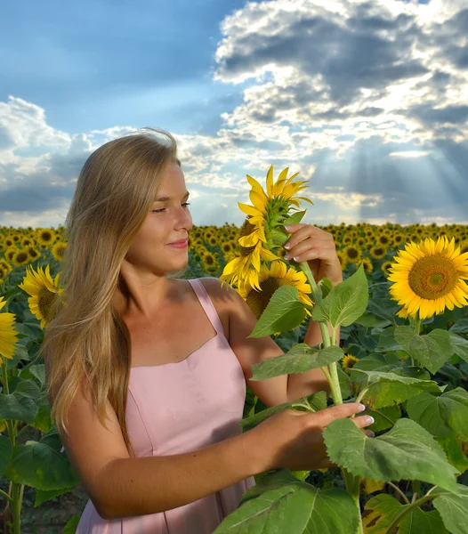 Woman in sunflower field - rural life and aromatherapy concept