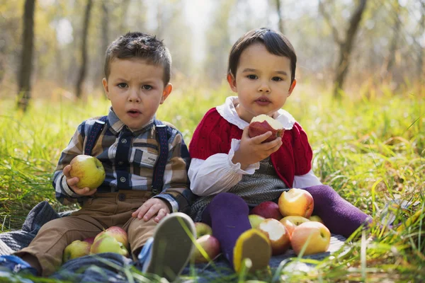 Two little kids eating apples in the park