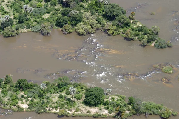 Zambezi river in Zambia and Zimbabwe, Africa