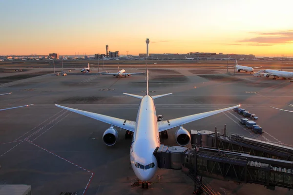 Airplane parking at Tokyo international airport (at dawn)