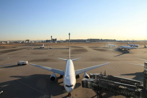 Airplane parking at Tokyo international airport