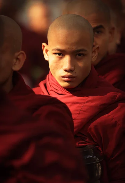 An unidentified Burmese monk