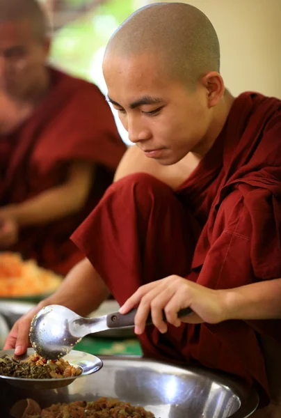 An unidentified young Burmese monk