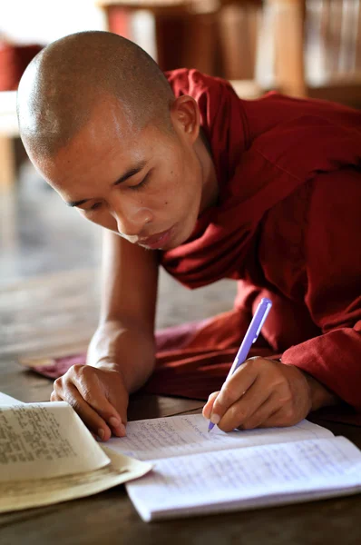 An unidentified Burmese Buddhist novice