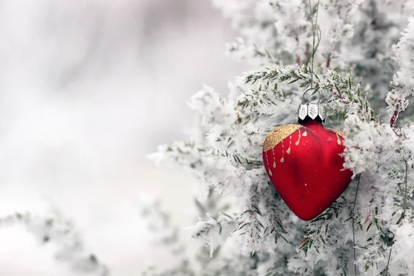 Christmas tree in frost heart