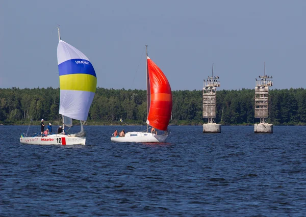 Sailing Regatta in Ukraine