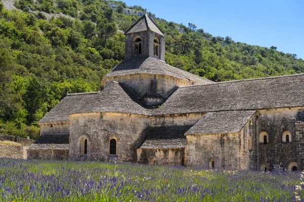 Abbaye de Senanque and lavender, France