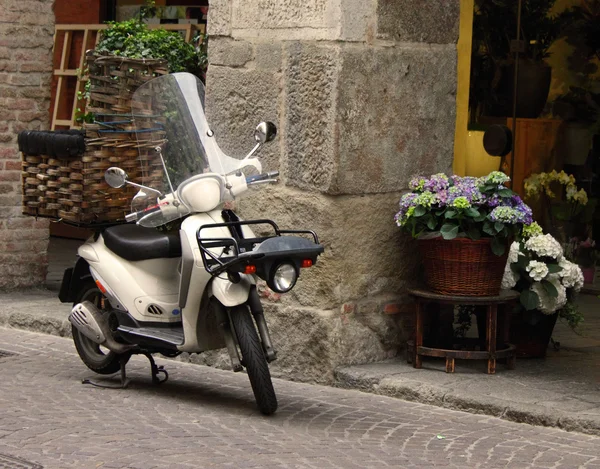 Transporting flowers with motor-cycle